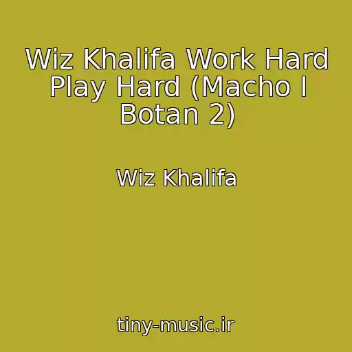 کاور آهنگ Wiz Khalifa Work Hard Play Hard (Macho І Botan 2) از Wiz Khalifa