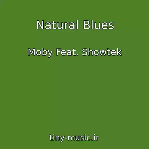 کاور آهنگ Natural Blues از Moby Feat. Showtek