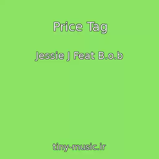 کاور آهنگ Price Tag از Jessie J Feat B.o.b