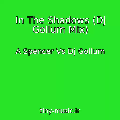کاور آهنگ In The Shadows (Dj Gollum Mix) از A Spencer Vs Dj Gollum