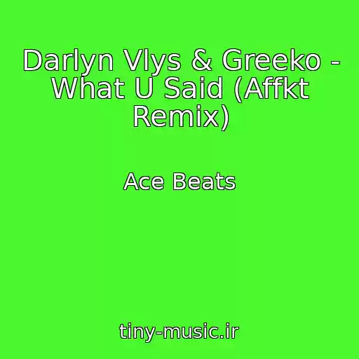 کاور آهنگ Darlyn Vlys & Greeko - What U Said (Affkt Remix) از Ace Beats