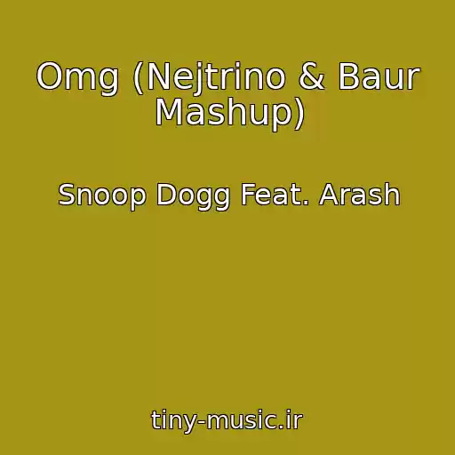 کاور آهنگ Omg (Nejtrino & Baur Mashup) از Snoop Dogg Feat. Arash