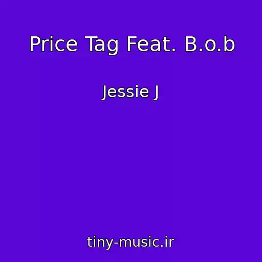 کاور آهنگ Price Tag Feat. B.o.b از Jessie J