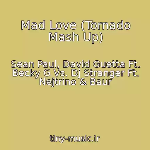 کاور آهنگ Mad Love (Tornado Mash Up) از Sean Paul, David Guetta Ft. Becky G Vs. Dj Stranger Ft. Nejtrino & Baur