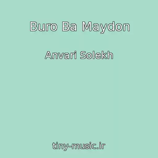 کاور آهنگ Buro Ba Maydon از Anvari Solekh