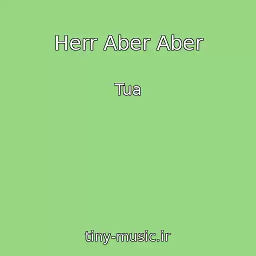 کاور آهنگ Herr Aber Aber از Tua