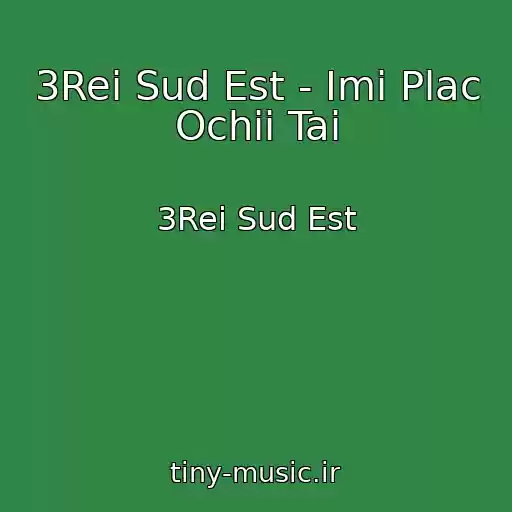 کاور آهنگ 3Rei Sud Est - Imi Plac Ochii Tai از 3Rei Sud Est