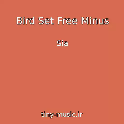کاور آهنگ Bird Set Free Minus از Sia
