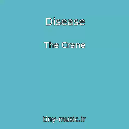 کاور آهنگ Disease از The Crane