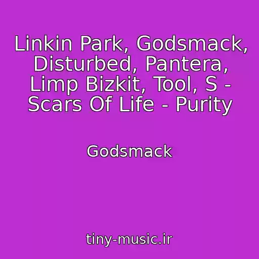 کاور آهنگ Linkin Park, Godsmack, Disturbed, Pantera, Limp Bizkit, Tool, S - Scars Of Life - Purity از Godsmack