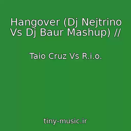 کاور آهنگ Hangover (Dj Nejtrino Vs Dj Baur Mashup) // از Taio Cruz Vs R.i.o.