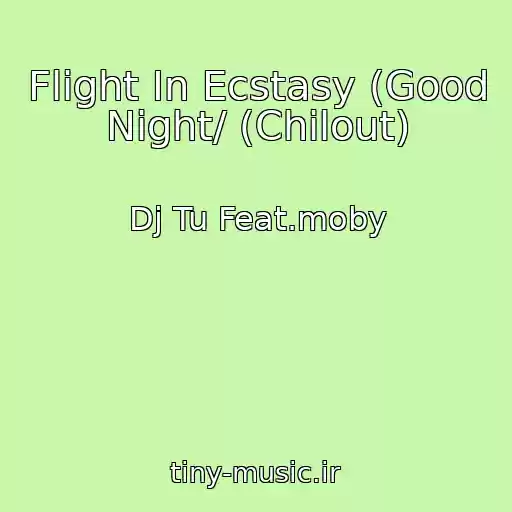 کاور آهنگ Flight In Ecstasy (Good Night/ (Chilout) از Dj Tu Feat.moby