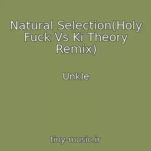 کاور آهنگ Natural Selection(Holy Fuck Vs Ki Theory Remix) از Unkle