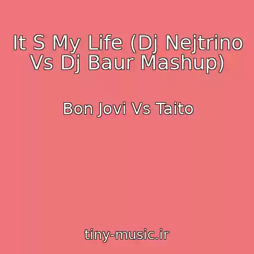 کاور آهنگ It S My Life (Dj Nejtrino Vs Dj Baur Mashup) از Bon Jovi Vs Taito