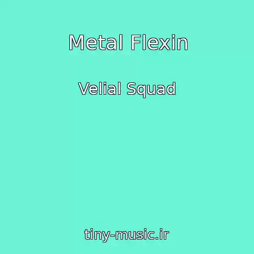 کاور آهنگ Metal Flexin از Velial Squad