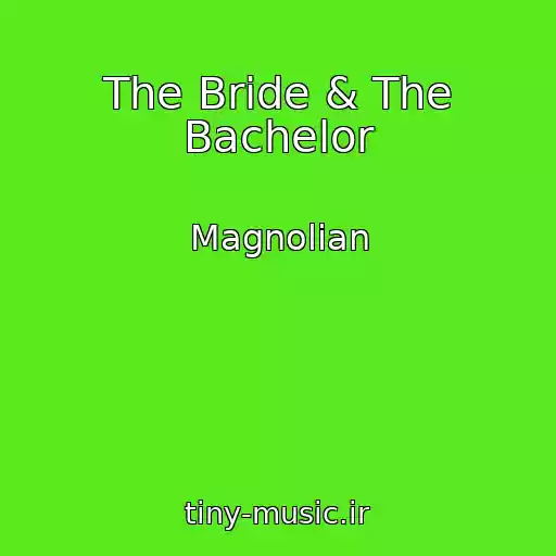 کاور آهنگ The Bride & The Bachelor از Magnolian