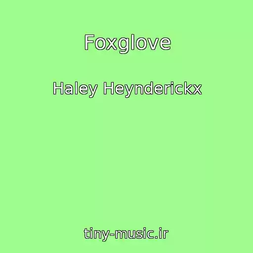 کاور آهنگ Foxglove از Haley Heynderickx