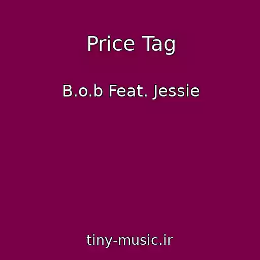 کاور آهنگ Price Tag از B.o.b Feat. Jessie