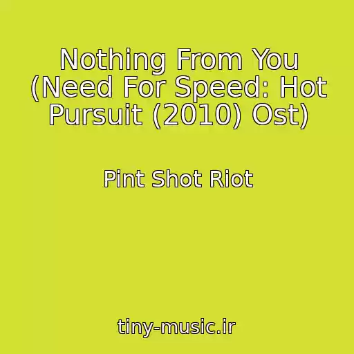 کاور آهنگ Nothing From You (Need For Speed: Hot Pursuit (2010) Ost) از Pint Shot Riot