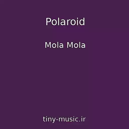 کاور آهنگ Polaroid از Mola Mola