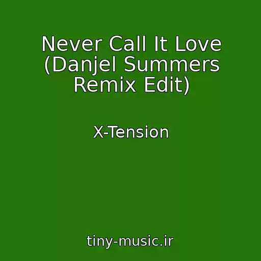 کاور آهنگ Never Call It Love (Danjel Summers Remix Edit) از X-Tension