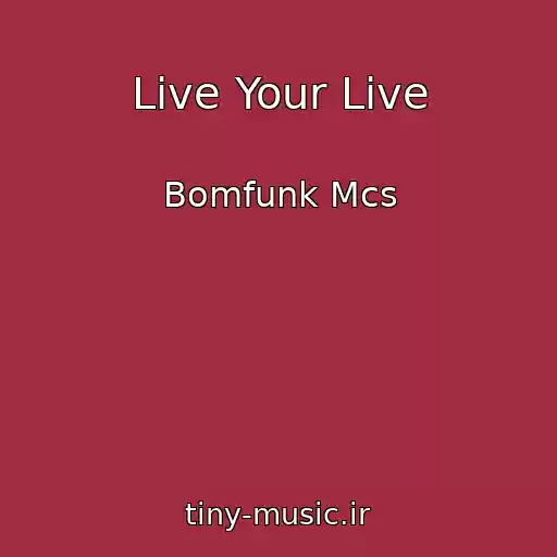 کاور آهنگ Live Your Live از Bomfunk Mcs