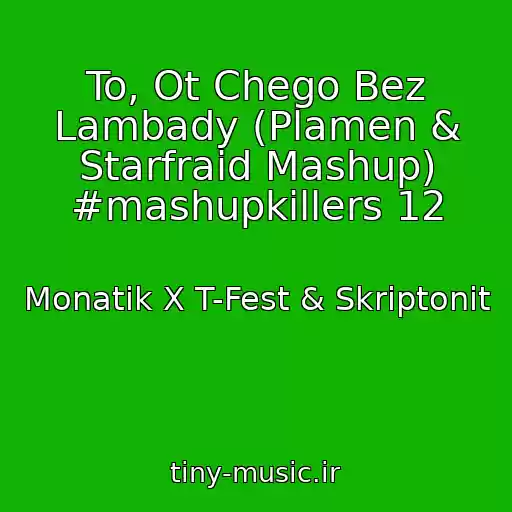 کاور آهنگ To, Ot Chego Bez Lambady (Plamen & Starfraid Mashup) #mashupkillers 12 از Monatik X T-Fest & Skriptonit
