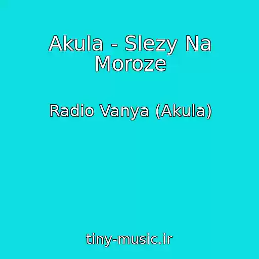 کاور آهنگ Akula - Slezy Na Moroze از Radio Vanya (Akula)