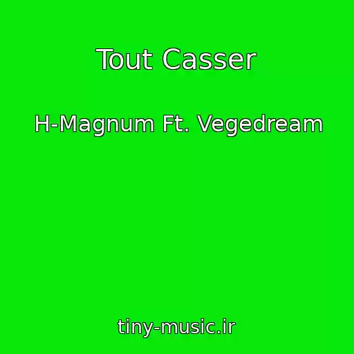 کاور آهنگ Tout Casser از H-Magnum Ft. Vegedream