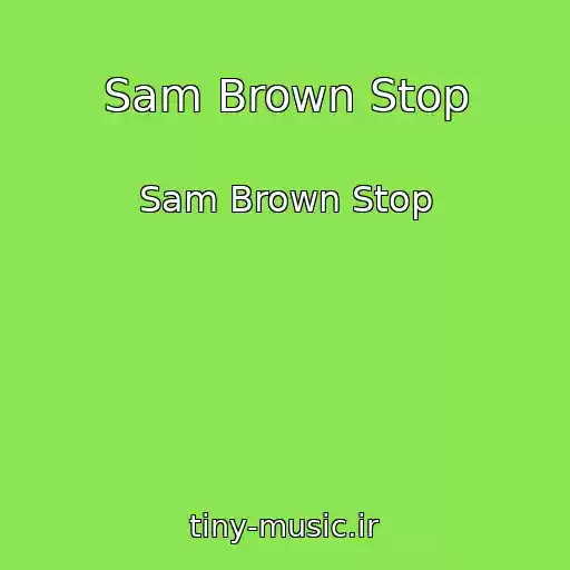 کاور آهنگ Sam Brown Stop از Sam Brown Stop