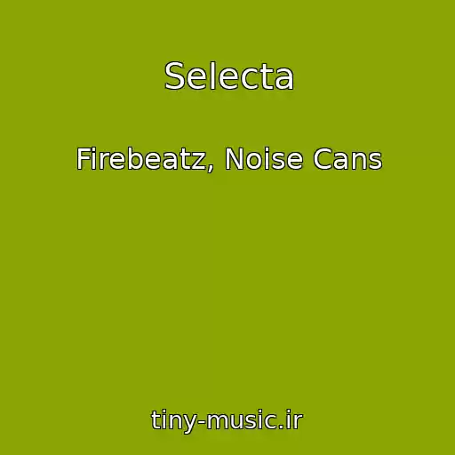 کاور آهنگ Selecta از Firebeatz, Noise Cans