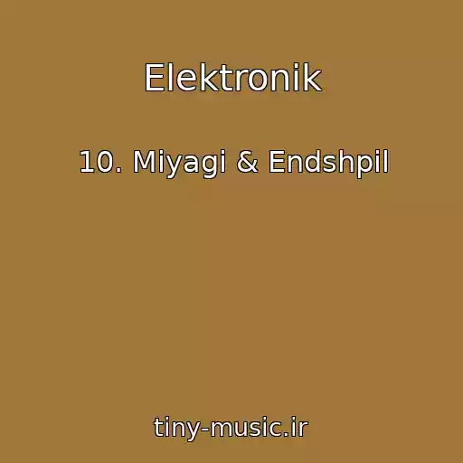 کاور آهنگ Elektronik از 10. Miyagi & Endshpil