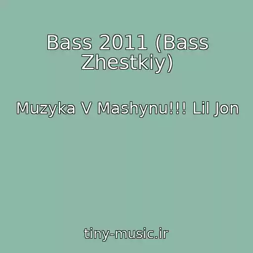 کاور آهنگ Bass 2011 (Bass Zhestkiy) از Muzyka V Mashynu!!! Lil Jon