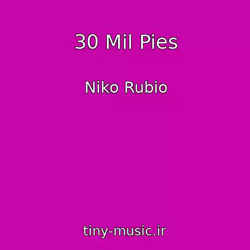 کاور آهنگ 30 Mil Pies از Niko Rubio