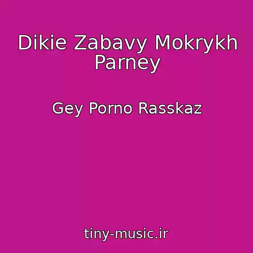 کاور آهنگ Dikie Zabavy Mokrykh Parney از Gey Porno Rasskaz