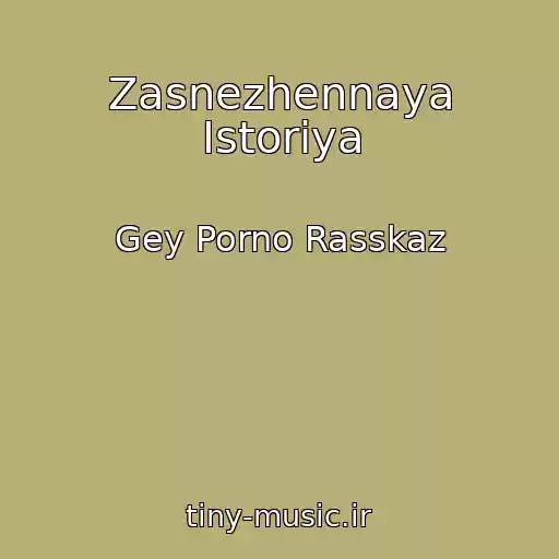 کاور آهنگ Zasnezhennaya Istoriya از Gey Porno Rasskaz
