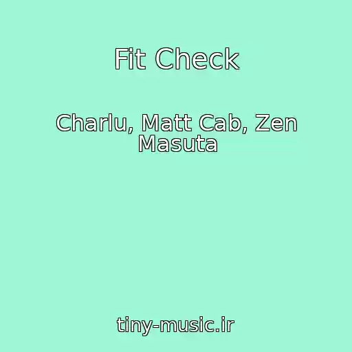 کاور آهنگ Fit Check از Charlu, Matt Cab, Zen Masuta