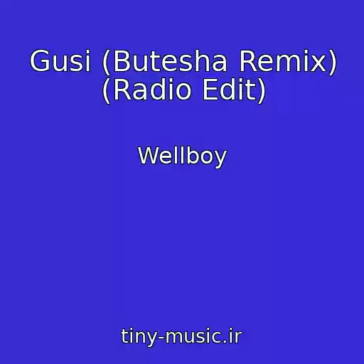 کاور آهنگ Gusi (Butesha Remix) (Radio Edit) از Wellboy