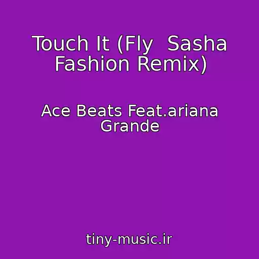 کاور آهنگ Touch It (Fly  Sasha Fashion Remix) از Ace Beats Feat.ariana Grande