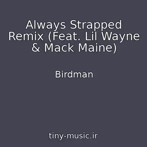 کاور آهنگ Always Strapped Remix (Feat. Lil Wayne & Mack Maine) از Birdman