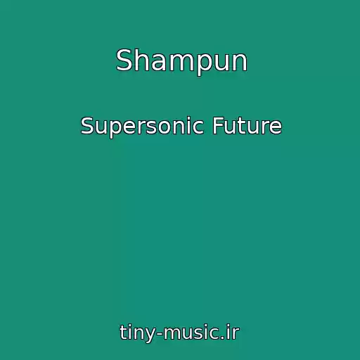 کاور آهنگ Shampun از Supersonic Future