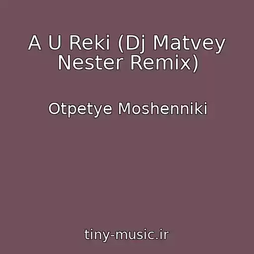 کاور آهنگ A U Reki (Dj Matvey Nester Remix) از Otpetye Moshenniki