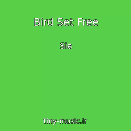 کاور آهنگ Bird Set Free از Sia