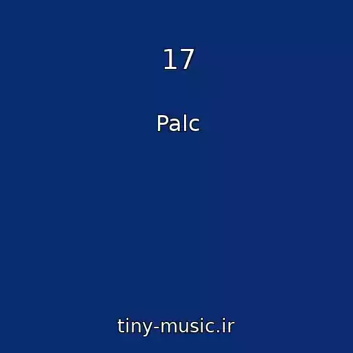 کاور آهنگ 17 از Palc