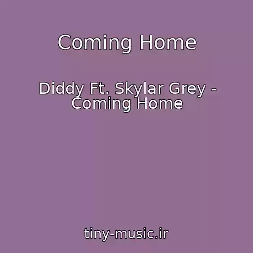 کاور آهنگ Coming Home از Diddy Ft. Skylar Grey - Coming Home