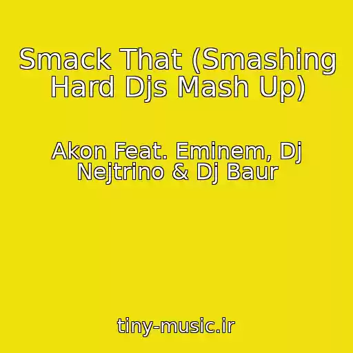 کاور آهنگ Smack That (Smashing Hard Djs Mash Up) از Akon Feat. Eminem, Dj Nejtrino & Dj Baur