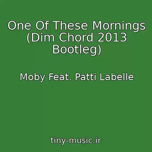 کاور آهنگ One Of These Mornings (Dim Chord 2013 Bootleg) از Moby Feat. Patti Labelle