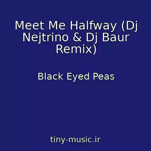 کاور آهنگ Meet Me Halfway (Dj Nejtrino & Dj Baur Remix) از Black Eyed Peas
