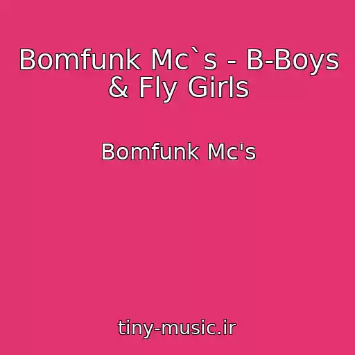 کاور آهنگ Bomfunk Mc`s - B-Boys & Fly Girls از Bomfunk Mc's