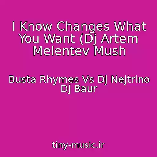 کاور آهنگ I Know Changes What You Want (Dj Artem Melentev Mush از Busta Rhymes Vs Dj Nejtrino Dj Baur